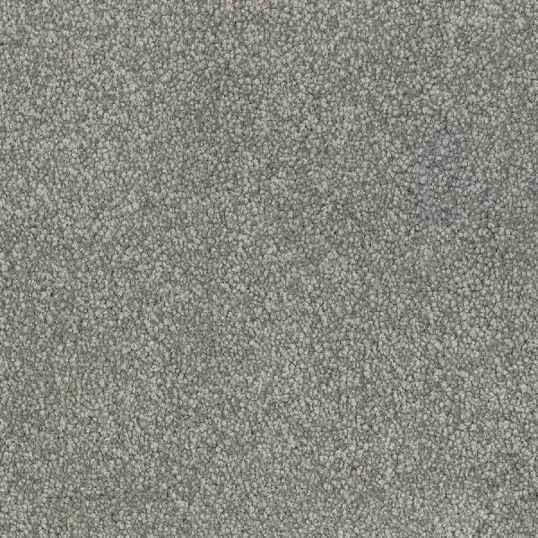 Close-up of a light gray loop carpet texture.