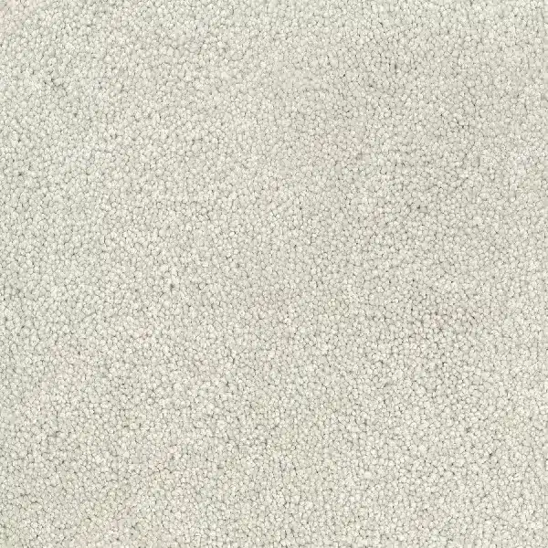 light ivory loop carpet texture.