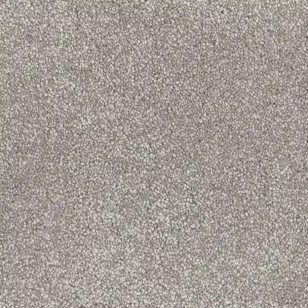 medium taupe loop carpet texture.