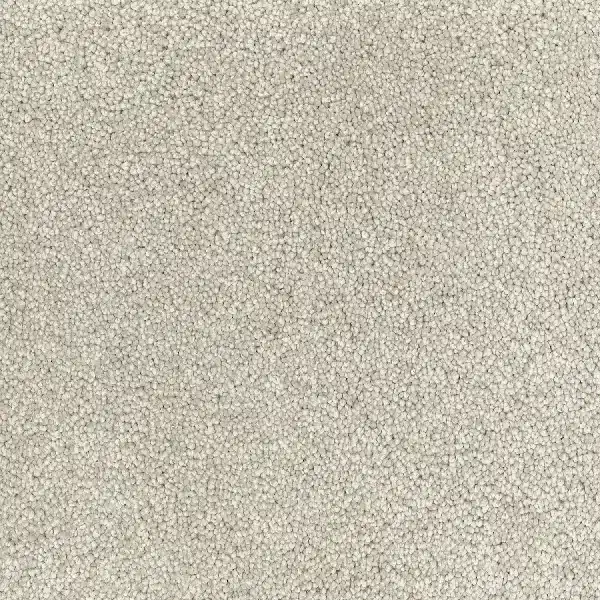 off-white loop carpet texture.