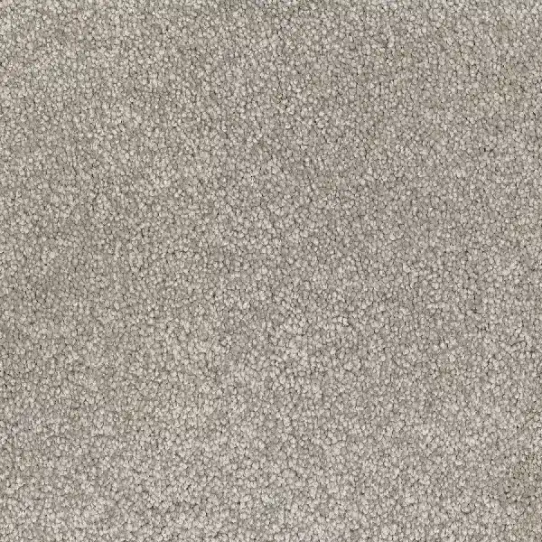 pale taupe loop carpet texture.