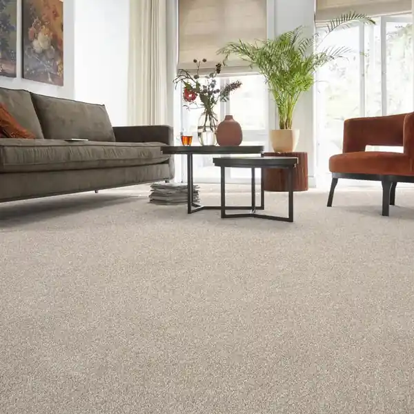 Light-beige-wall-to-wall-carpet-in-modern-living-room