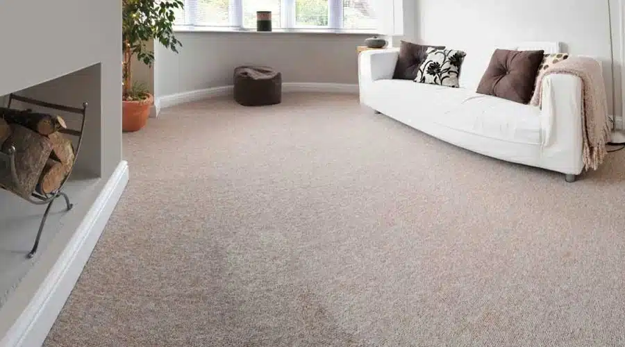 Plush Carpet