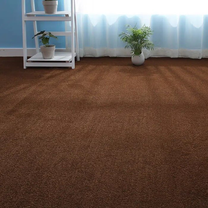 Rich brown cut pile wall to wall carpet by a plant stand