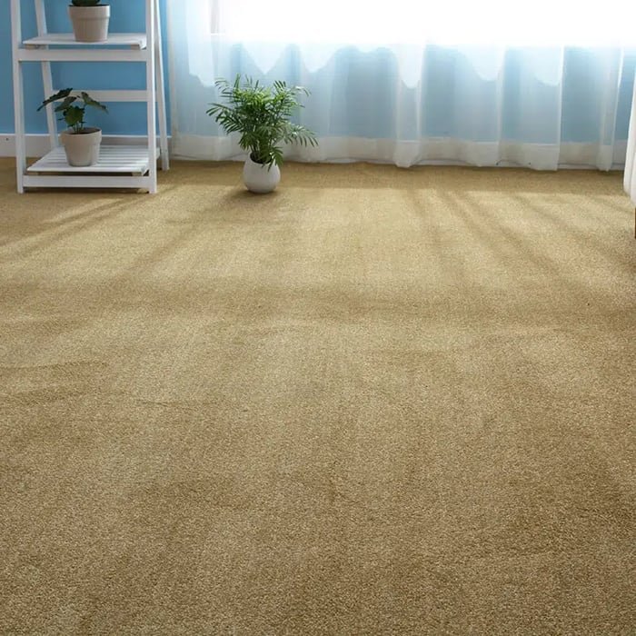 Tan Cut Pile wall to wall carpet in a sunny room