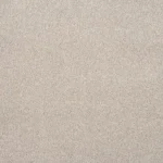Uniform-beige-wall-to-wall-carpet-with-soft-texture