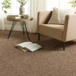 wall to wall carpet