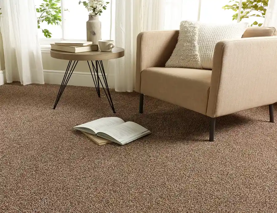 wall to wall carpet